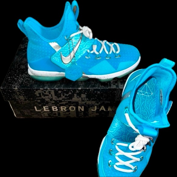 Nike Other - Nike Zoom LeBron XIV HWC (GS) Nature Boy (6.5Y)